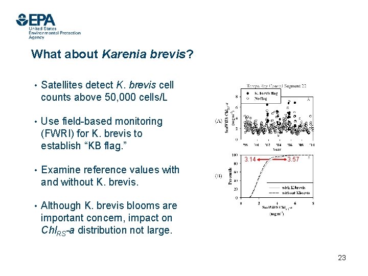 What about Karenia brevis? • Satellites detect K. brevis cell counts above 50, 000
