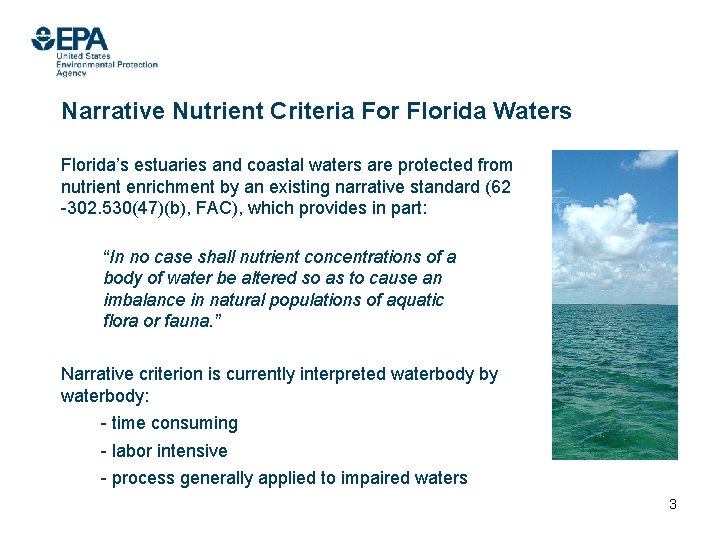 Narrative Nutrient Criteria For Florida Waters Florida’s estuaries and coastal waters are protected from