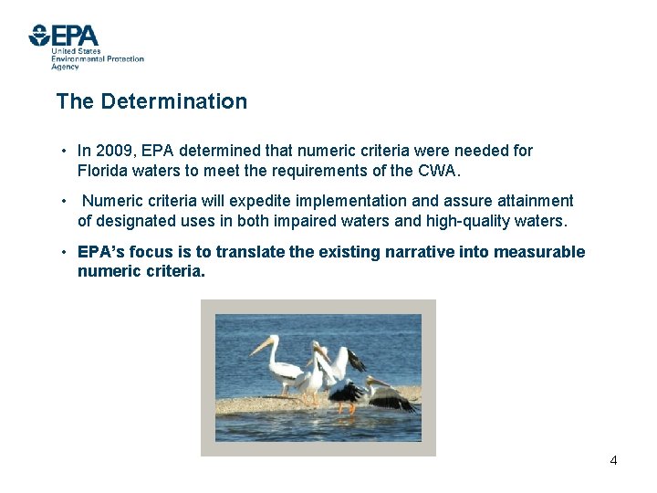 The Determination • In 2009, EPA determined that numeric criteria were needed for Florida