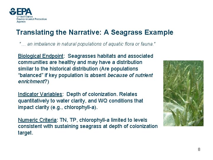 Translating the Narrative: A Seagrass Example “… an imbalance in natural populations of aquatic