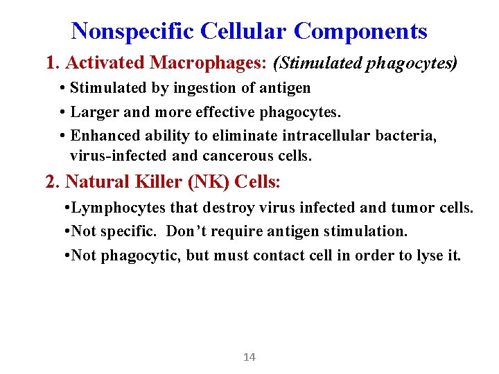 Nonspecific Cellular Components 1. Activated Macrophages: (Stimulated phagocytes) • Stimulated by ingestion of antigen