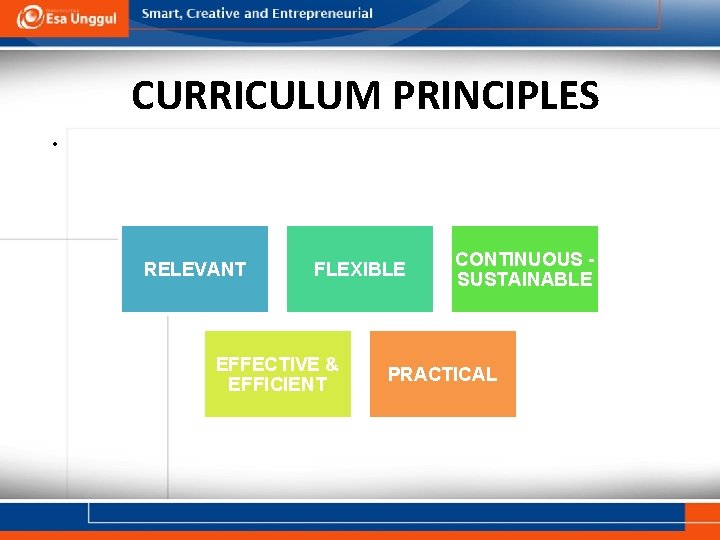 CURRICULUM PRINCIPLES • RELEVANT FLEXIBLE EFFECTIVE & EFFICIENT CONTINUOUS SUSTAINABLE PRACTICAL 