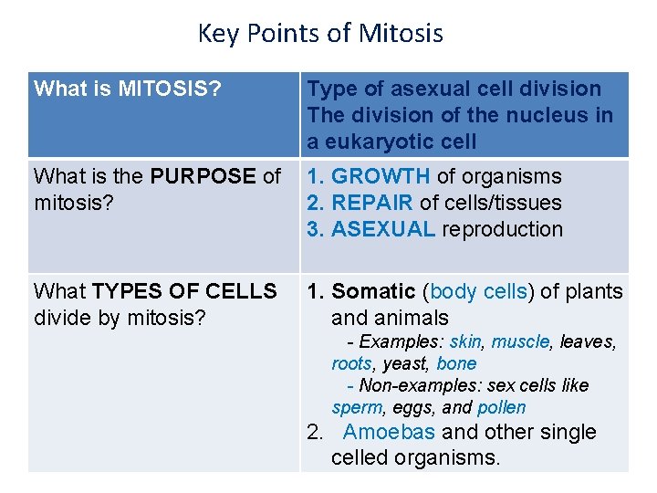 Key Points of Mitosis What is MITOSIS? Type of asexual cell division The division Key Points of Mitosis What is MITOSIS? Type of asexual cell division The division