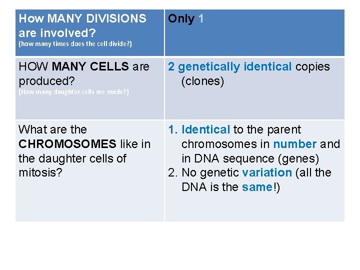 How MANY DIVISIONS are involved? Only 1 (how many times does the cell divide? How MANY DIVISIONS are involved? Only 1 (how many times does the cell divide?