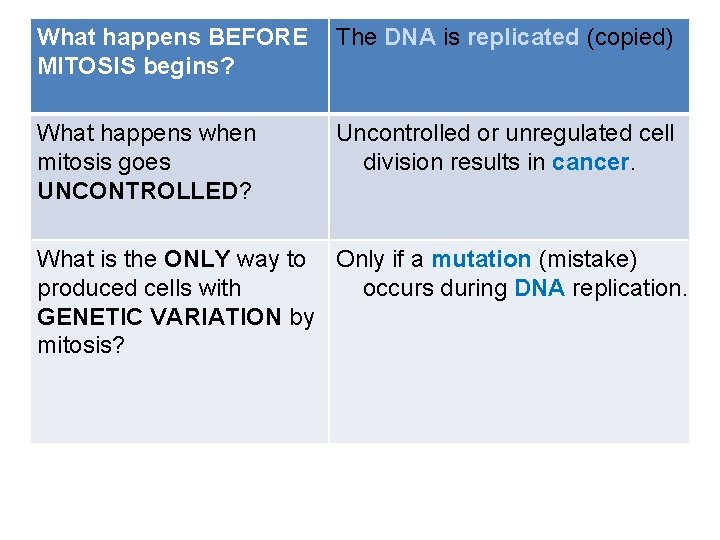 What happens BEFORE MITOSIS begins? The DNA is replicated (copied) What happens when mitosis What happens BEFORE MITOSIS begins? The DNA is replicated (copied) What happens when mitosis