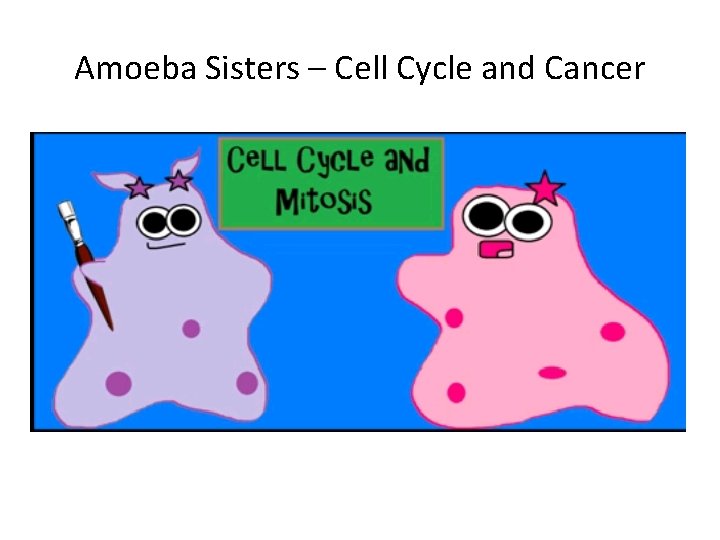 Amoeba Sisters – Cell Cycle and Cancer Amoeba Sisters – Cell Cycle and Cancer