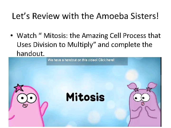 Let’s Review with the Amoeba Sisters! • Watch “ Mitosis: the Amazing Cell Process Let’s Review with the Amoeba Sisters! • Watch “ Mitosis: the Amazing Cell Process