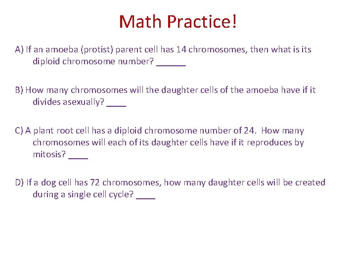 Math Practice! A) If an amoeba (protist) parent cell has 14 chromosomes, then what Math Practice! A) If an amoeba (protist) parent cell has 14 chromosomes, then what