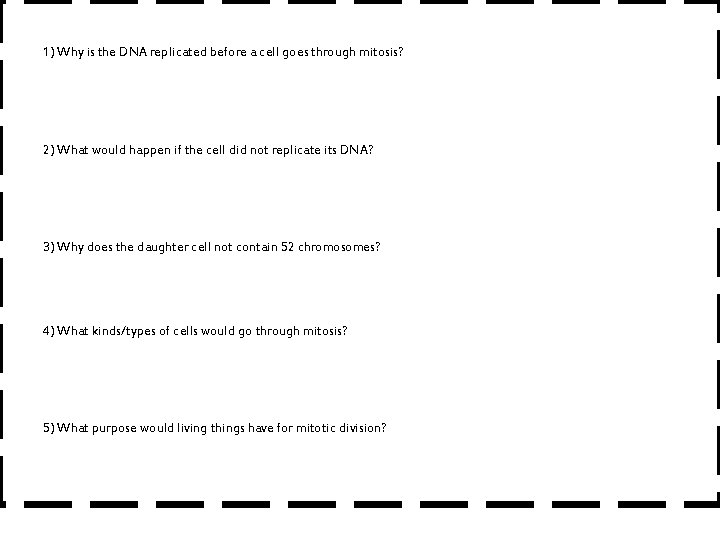 Mitosis Quick Check! 1) Why is the DNA replicated before a cell goes through Mitosis Quick Check! 1) Why is the DNA replicated before a cell goes through