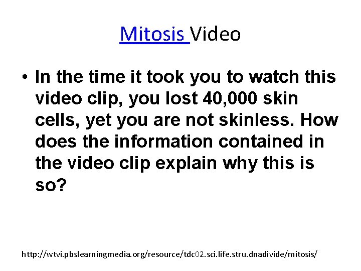 Mitosis Video • In the time it took you to watch this video clip, Mitosis Video • In the time it took you to watch this video clip,