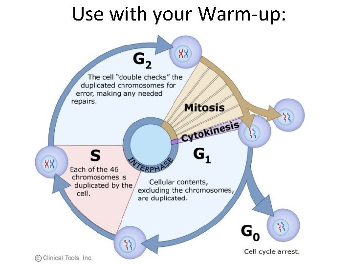 Use with your Warm-up: Use with your Warm-up: