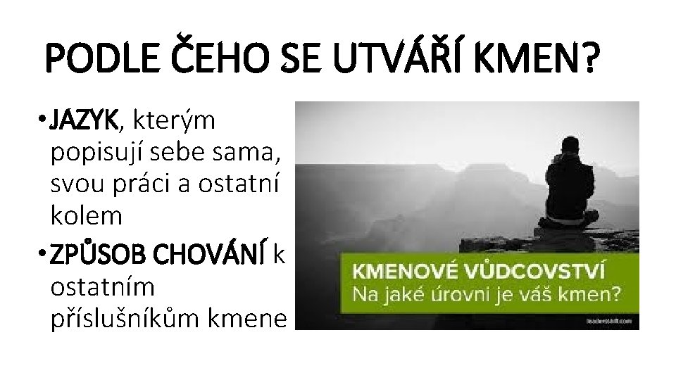 PODLE ČEHO SE UTVÁŘÍ KMEN? • JAZYK, kterým popisují sebe sama, svou práci a