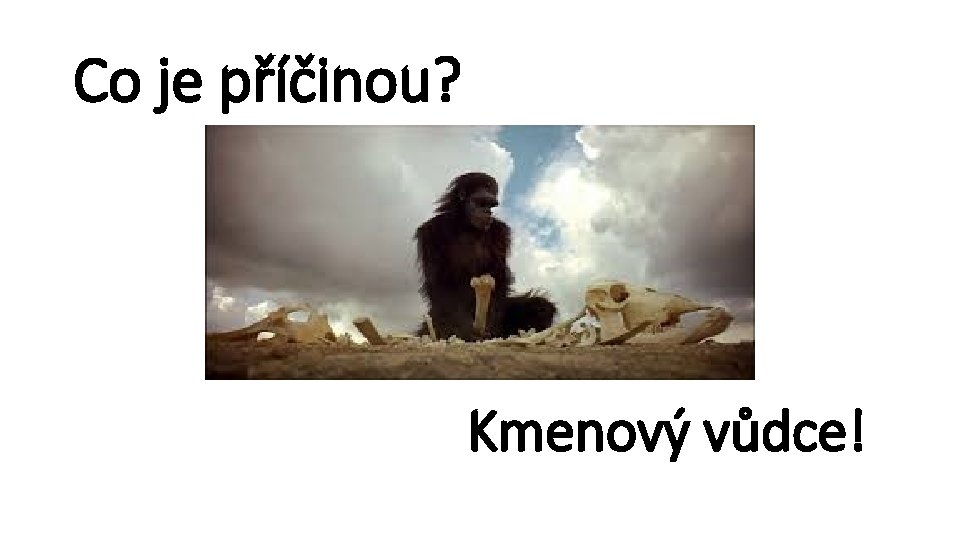 Co je příčinou? Kmenový vůdce! 