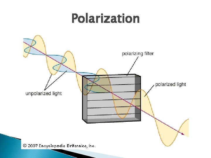 Polarization Polarization