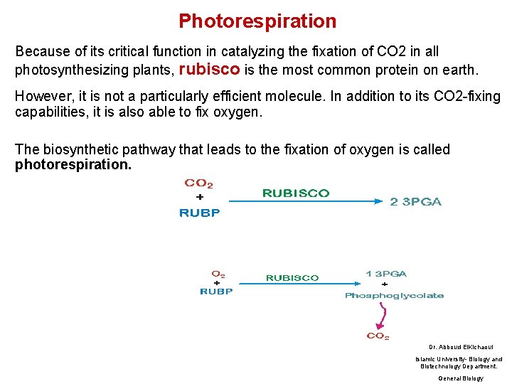 Photorespiration Because of its critical function in catalyzing the fixation of CO 2 in