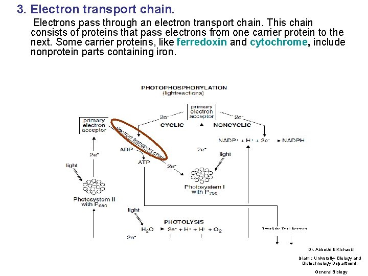 3. Electron transport chain. Electrons pass through an electron transport chain. This chain consists