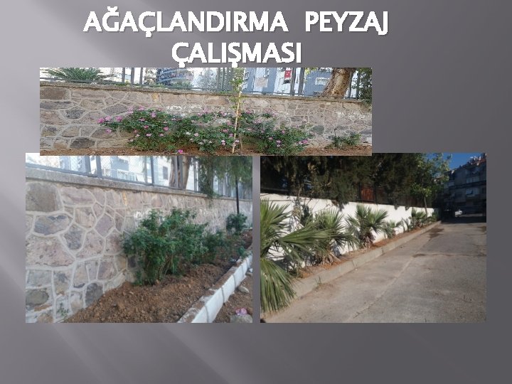 AĞAÇLANDIRMA PEYZAJ ÇALIŞMASI 