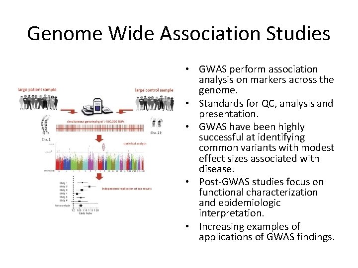 Genome Wide Association Studies • GWAS perform association analysis on markers across the genome.