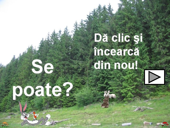 Se poate? Dă clic şi încearcă din nou! 