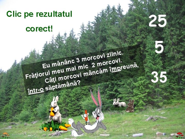 Clic pe rezultatul corect!. c i n l i z ovi c r o