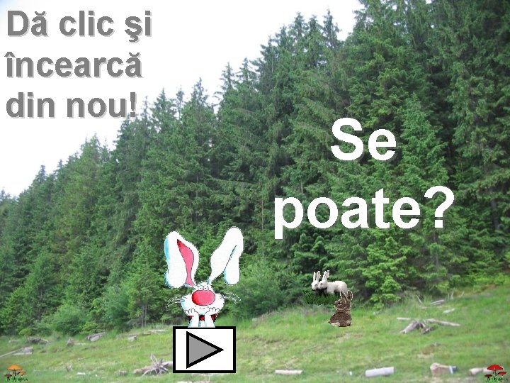 Dă clic şi încearcă din nou! Se poate? 