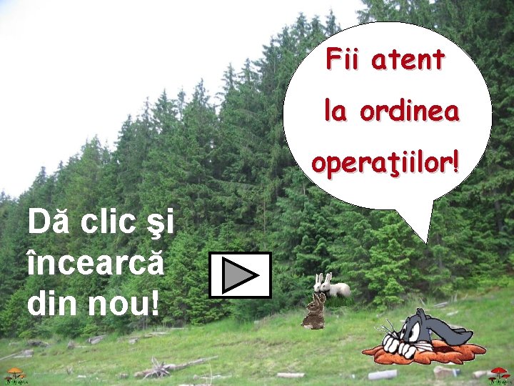 Fii atent la ordinea operaţiilor! Dă clic şi încearcă din nou! 