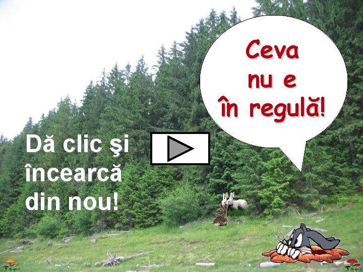 Ceva nu e în regulă! Dă clic şi încearcă din nou! 