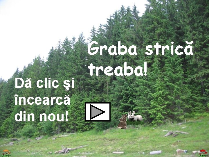 Dă clic şi încearcă din nou! Graba strică treaba! 