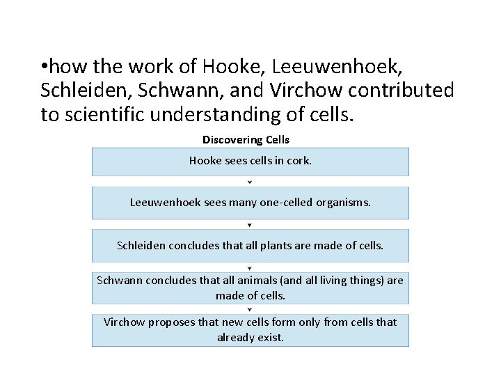 - Discovering Cells • how the work of Hooke, Leeuwenhoek, Schleiden, Schwann, and Virchow