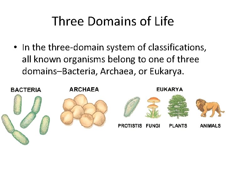 - Domains and Kingdoms Three Domains of Life • In the three-domain system of