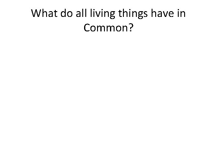 What do all living things have in Common? 