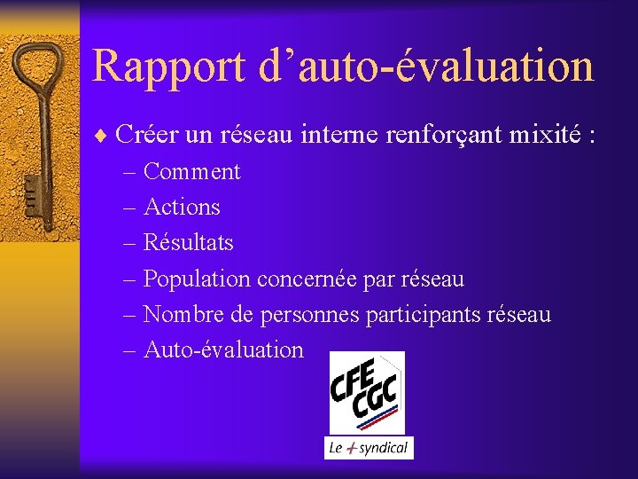 Rapport d’auto-évaluation ¨ Créer un réseau interne renforçant mixité : – Comment – Actions