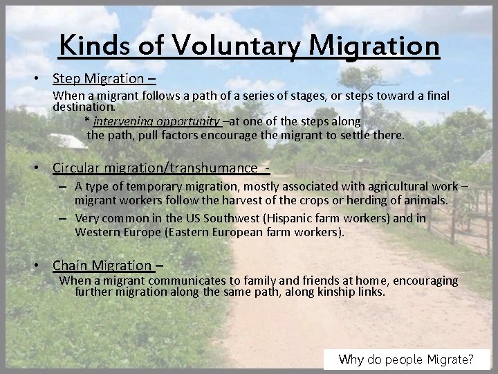 Kinds of Voluntary Migration • Step Migration – When a migrant follows a path