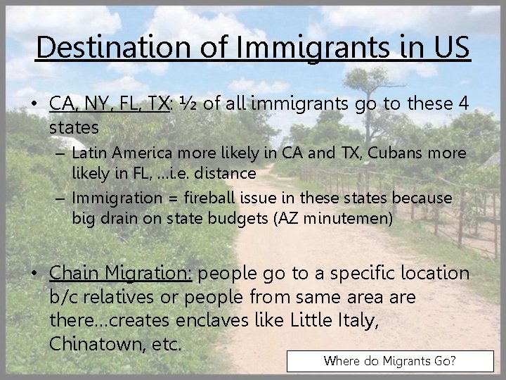 Destination of Immigrants in US • CA, NY, FL, TX: ½ of all immigrants