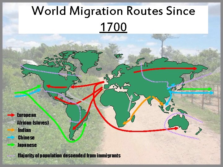 World Migration Routes Since 1700 European African (slaves) Indian Chinese Japanese Majority of population
