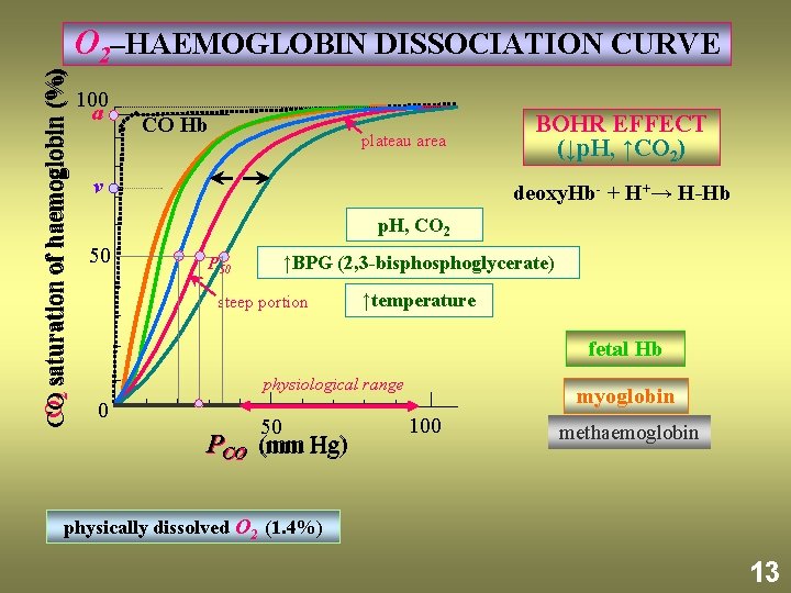 O 2 saturation of haemoglobin (%) CO O 2–HAEMOGLOBIN DISSOCIATION CURVE 100 a CO