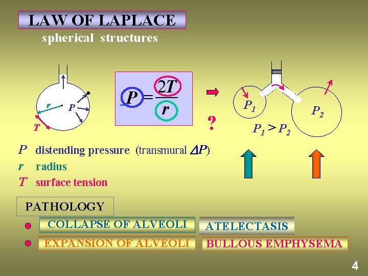 LAW OF LAPLACE spherical structures r P 2 T P= r T ? P