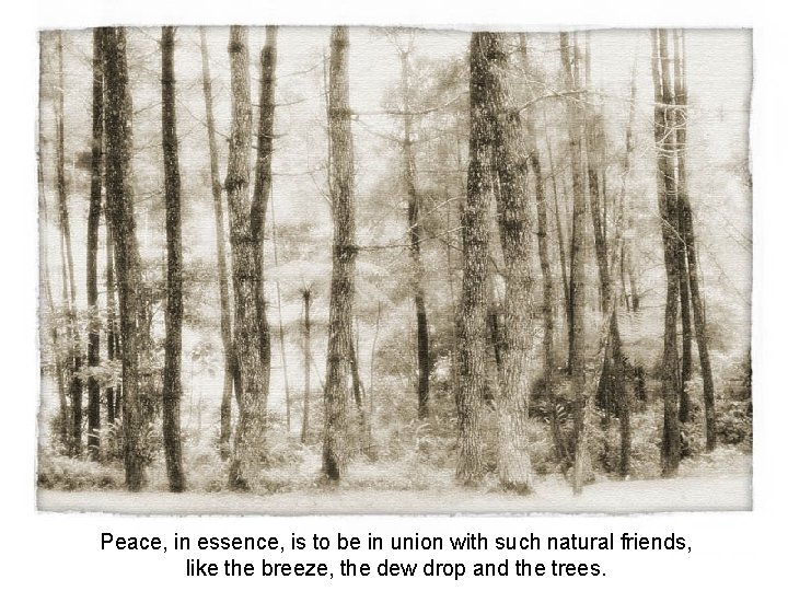 Peace, in essence, is to be in union with such natural friends, like the