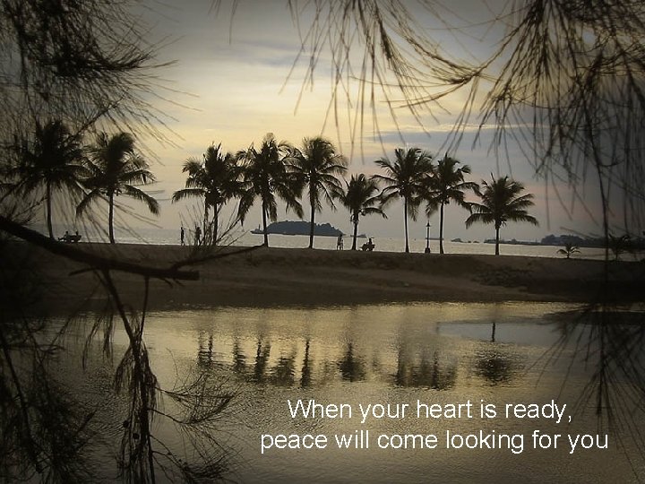 When your heart is ready, peace will come looking for you 