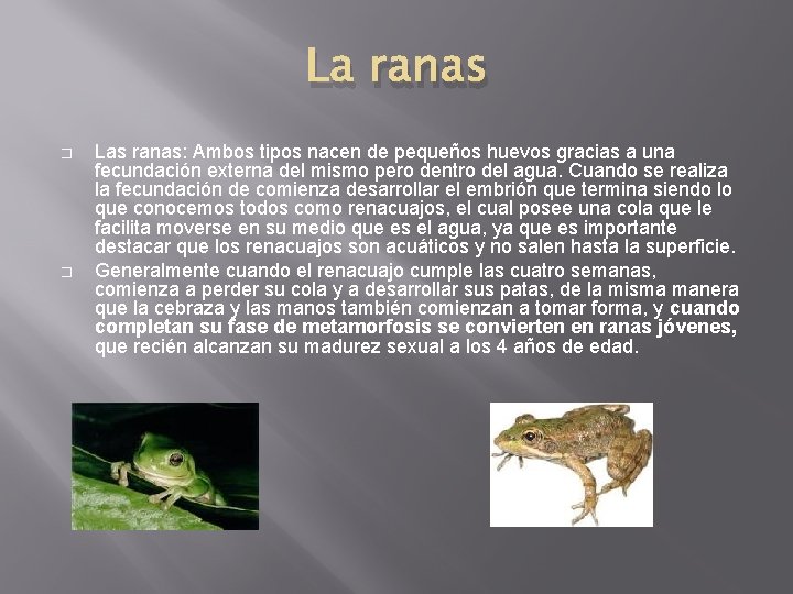 La ranas � � Las ranas: Ambos tipos nacen de pequeños huevos gracias a