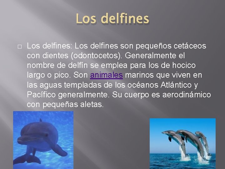 Los delfines � Los delfines: Los delfines son pequeños cetáceos con dientes (odontocetos). Generalmente