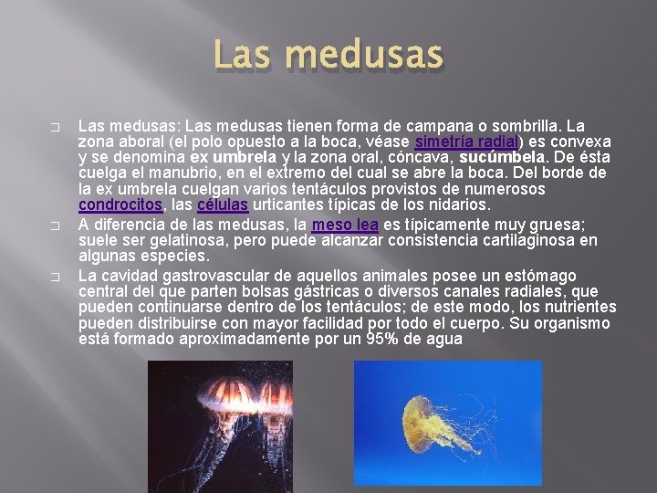 Las medusas � � � Las medusas: Las medusas tienen forma de campana o