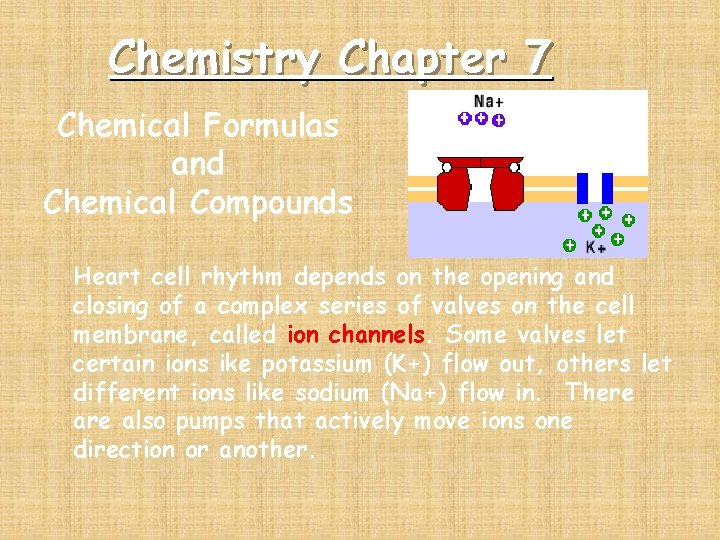 Chemistry Chapter 7 Chemical Formulas and Chemical Compounds Heart cell rhythm depends on the