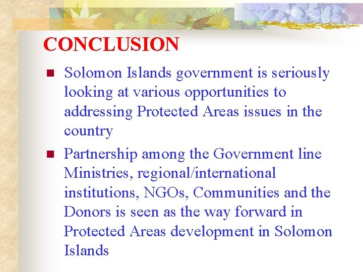 CONCLUSION n n Solomon Islands government is seriously looking at various opportunities to addressing