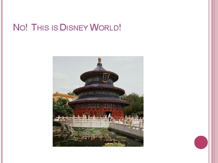 NO! THIS IS DISNEY WORLD! 