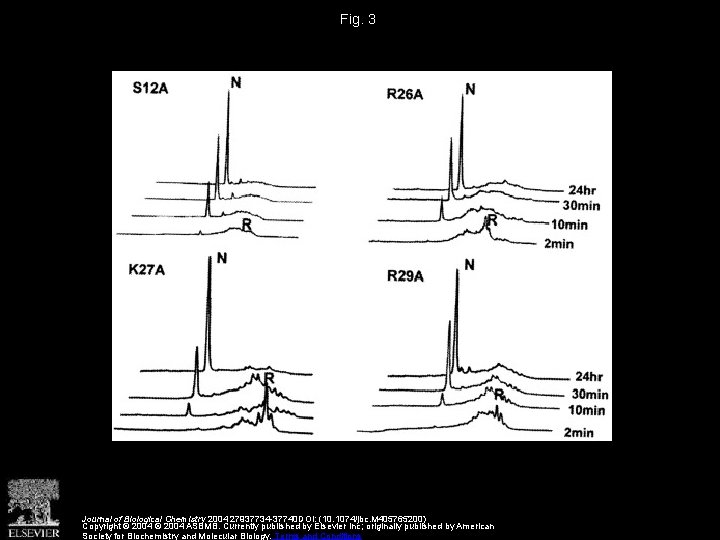 Fig. 3 Journal of Biological Chemistry 2004 27937734 -37740 DOI: (10. 1074/jbc. M 405765200)