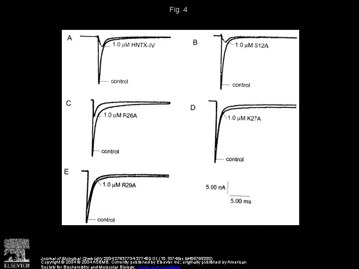 Fig. 4 Journal of Biological Chemistry 2004 27937734 -37740 DOI: (10. 1074/jbc. M 405765200)