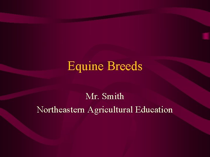 Equine Breeds Mr. Smith Northeastern Agricultural Education 