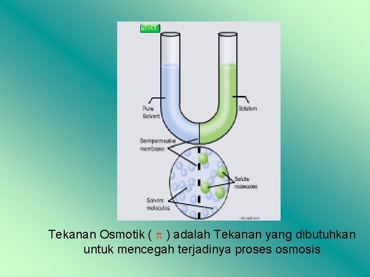 Tekanan Osmotik ( ) adalah Tekanan yang dibutuhkan untuk mencegah terjadinya proses osmosis 