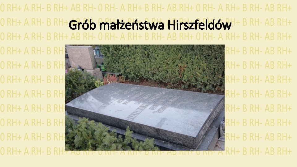 Grób małżeństwa Hirszfeldów 